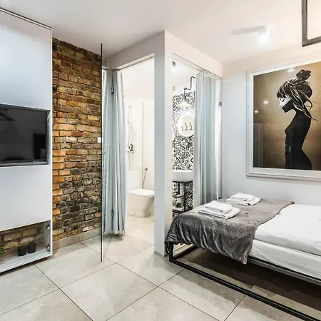 Apartment Comfortable Underground Studio In By Rent Like Poznan