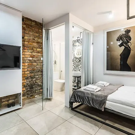 Apartment Comfortable Underground Studio In By Rent Like Poznan